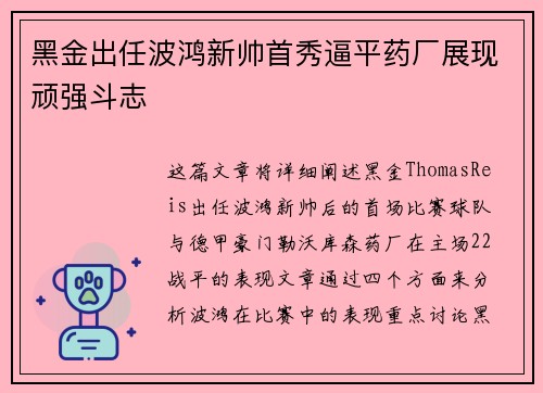 黑金出任波鸿新帅首秀逼平药厂展现顽强斗志 黑金出任波鸿新帅首秀逼平药厂展现顽强斗志